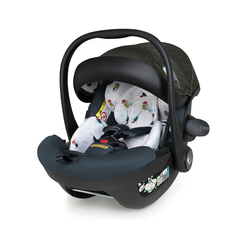 Ex Display Acorn 2 i-Size 0+ Car Seat Bureau - Carseat - Cosatto Store