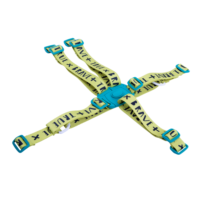 Noodle Supa 0+ DRAGON KINGDOM Harness - Spare Part - Cosatto Store