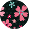 Paper Petals