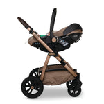 Wow 3 Special Edition All Stage Family Rotate & Recline 2 Base Bundle Tiger Tale