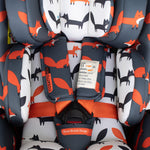 Wow 2 All-Stage Everything Bundle Charcoal Mister Fox - Bundle - Cosatto Store
