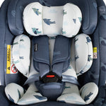 Giggle 4 Special Edition All Stage Home and Travel Bundle Skylark