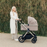 Giggle 4 Everything Home and Travel Bundle Lollop