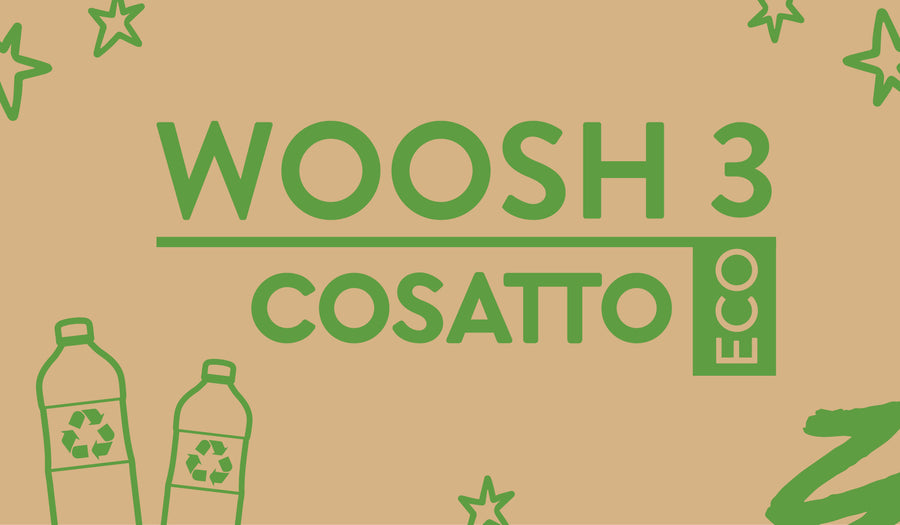 Silla de paseo Woosh 3 - D is for Dino – Cosatto España