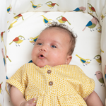 Giggle Trail 3 in 1 i-Size Everything Bundle Birdland - Bundle - Cosatto Store