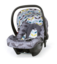Hold 0+ Car Seat Seedling