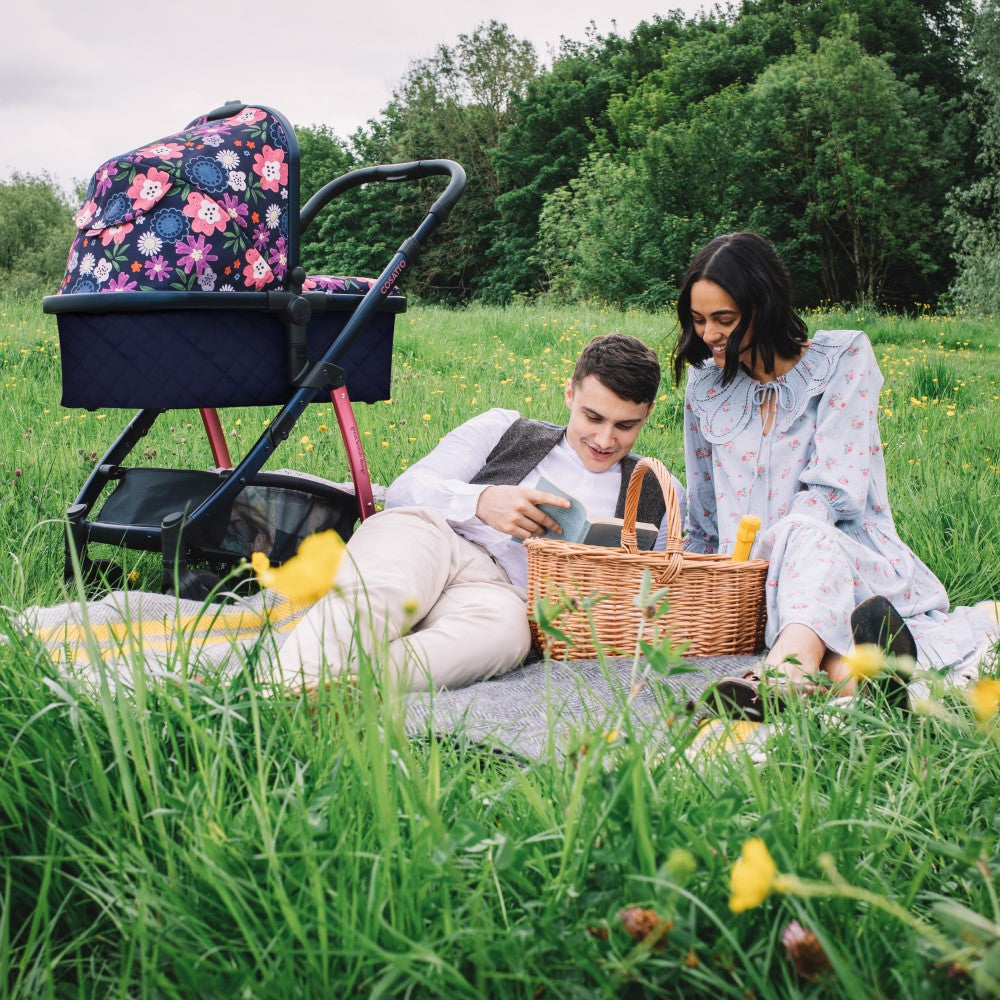 Wow 2 Pram and Pushchair Dalloway