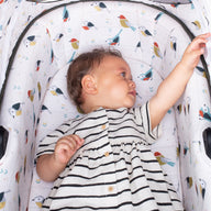 Wow Continental Pram & Pushchair Bundle Bureau