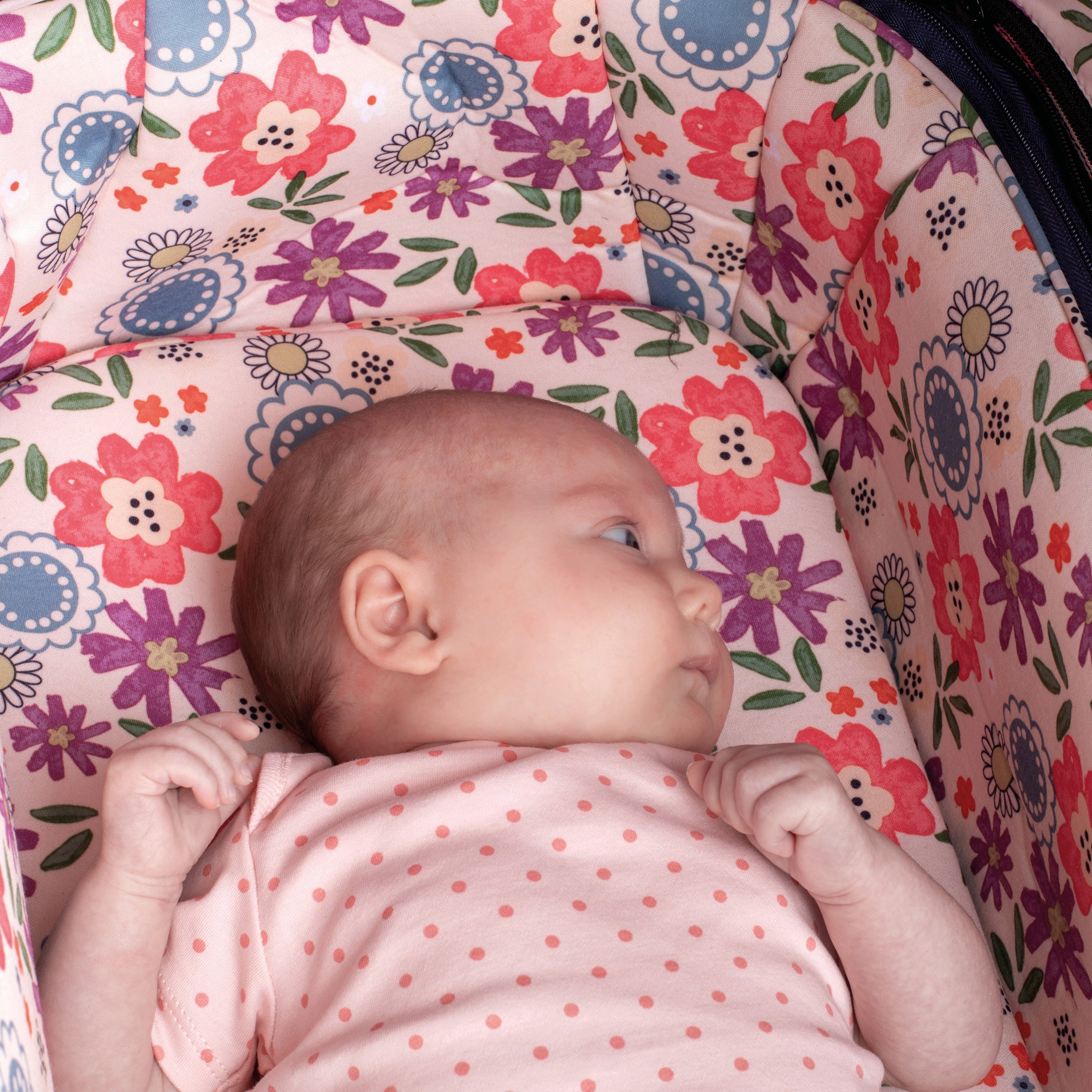 Wow 2 Pram and Pushchair Dalloway