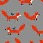 Hold Mix 0+ Car Seat Mister Fox - Carseat - Cosatto Store