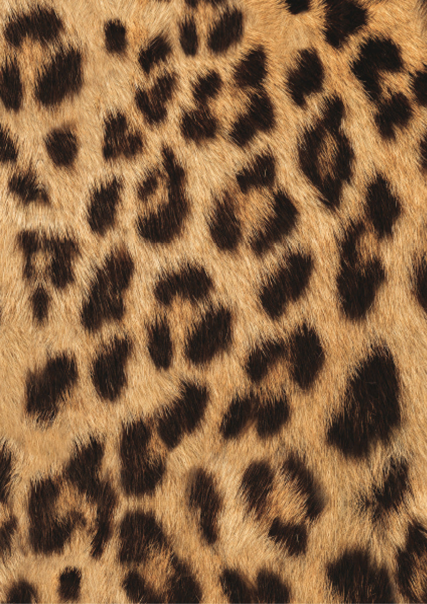 Port 0+ Car Seat Special Edition Hear Us Roar